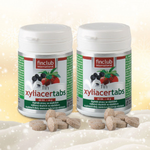 2db fin Xyliacertabs 60 tabl.