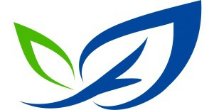 FINCLUB INTERNATIONAL - SAJTÓKÖZLEMÉNY